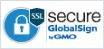 Secure Site — AlphaSSL